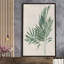 Palmier botanique IV - Peinture-677903362-677903367