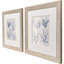 Art encadré, collection Sea Coral