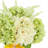 Hydrangeas Arranged in Glass Vase with Lemons