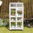 Wood Greenhouse with Adjustable Shelves and Wheels, Portable Cold Frame for Indoor/Outdoor-114011620