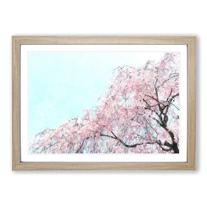 Pretty Pink Cherry Blossom Tree - Framed Print, Oak Framed, 36cm H x 48cm W x 2cm D