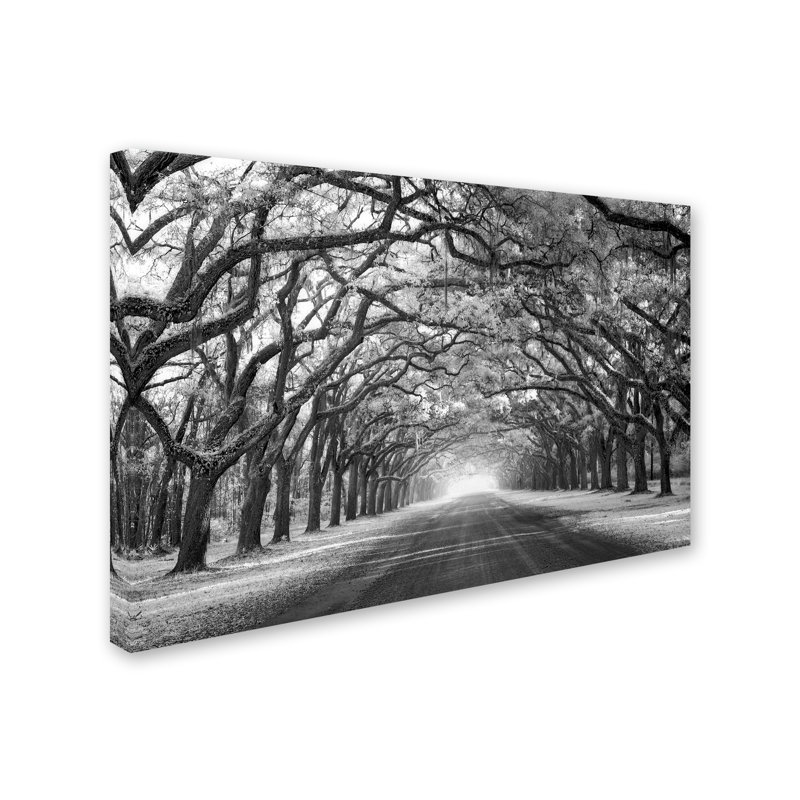 Wrapped Canvas Wall Art - Mike Jones Photo 'Wormsloe Inf Light' Wall Art for Living Room, Bedroom, or Office Décor - 30x47