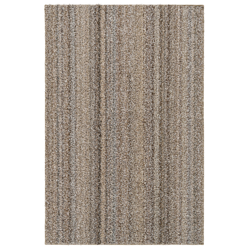 Omotayo Striped Indoor Rug, Rectangle 4' x 6'