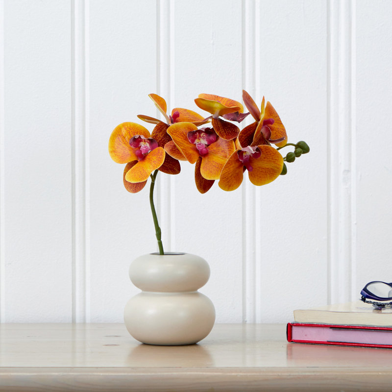 Arrangement floral orchidée Allon dans un vase