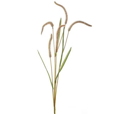 Faux plantes et arbres crème