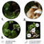 Photo de jardin d'un champignon III - Art mural en métal champignon-1095986930