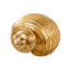 Rough Nickel Shell 22x16x12 Cm-736588844