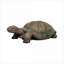 Statues de jardin | Statue de tortue en béton 34,2 "réaliste pour porche de jardin | Brun clair | Ciment béton