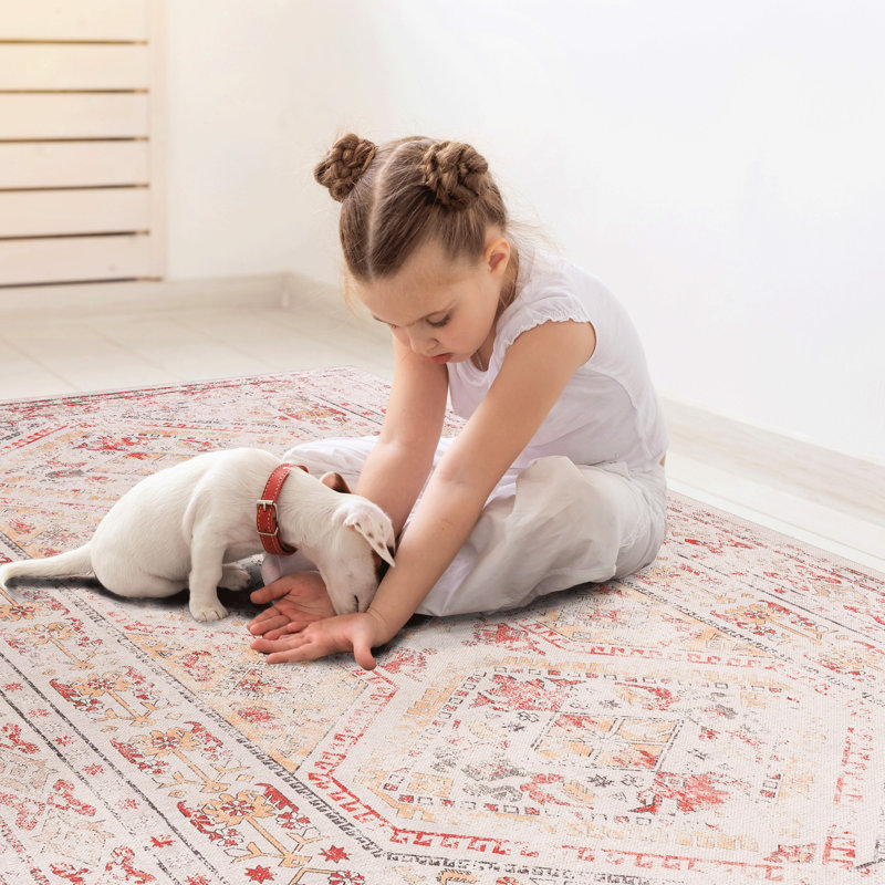 Machine Washable 2X3 Beige Rug, Low-Pile, Non-Slip, , For Bedroom, Living Room, Kitchen, Dining Room - & Pet Preferred Area Washable, Foldable,