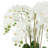 Joellen Artificial Orchid Arrangement