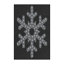 Wool Indoor Rug