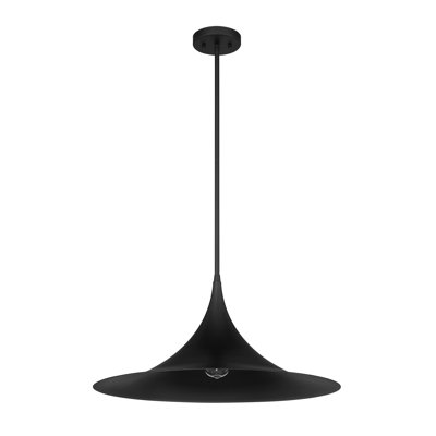 Luminaire suspendu 1 lumière Savdin House Bowdin en noir mat