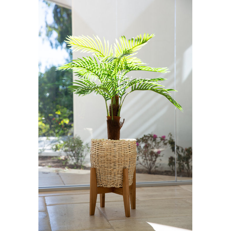 45 " H Faux Palm Tree in Ceramic Basket