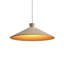 Conical 1 - Light Pendant-337063397