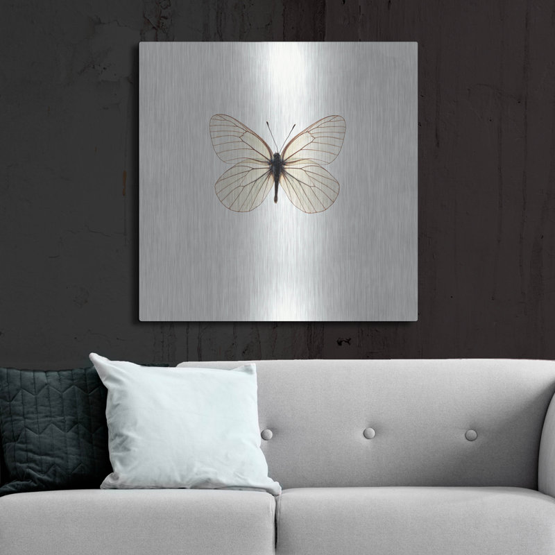  «White Butterfly» par Photoinc Studio, art mural en métal, 36 po x 36 po, H 36 po x l 36 po