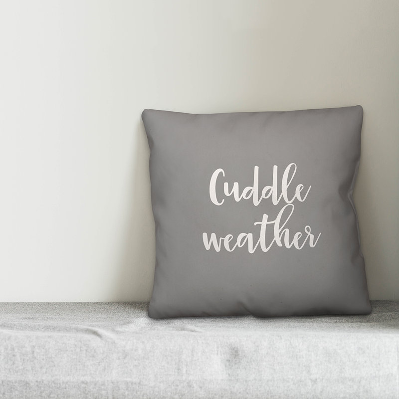  Cuddle Weather Throw Pillow, Gray, Pillow Cover & Insert