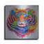 «Tiger Splash» d'Ivan Negrete-750590280