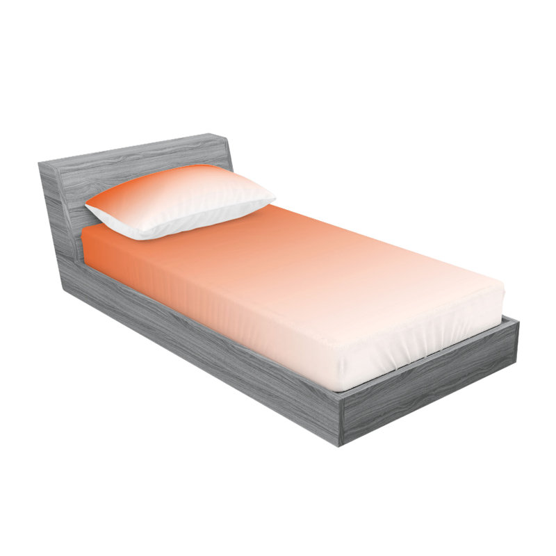 Drap-housse et coussin décoratif Ambesonne, Ensemble de draps pour lit simple + 5 pièces supp