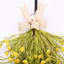 Ornement de printemps devant la marguerite