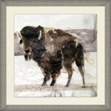 Big Buffalo 2 Print