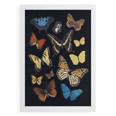 Collection Flutter IV - impression sur toile seulement - non encadrée