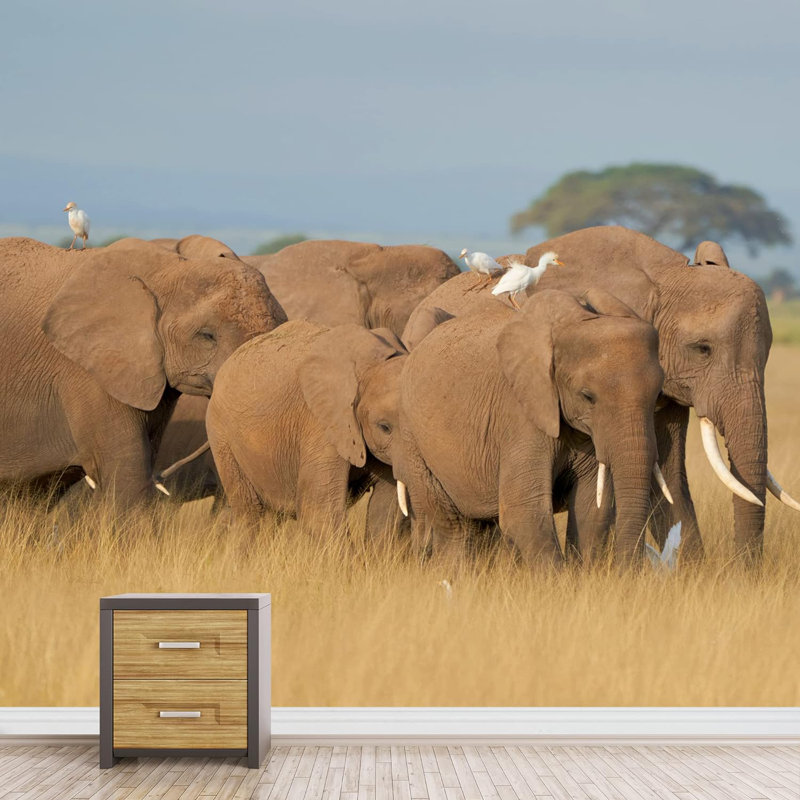 Éléphant d'Afrique sauvage sauvage Champ Nature Photographie de paysage décoratif, L 100 po x l 144 po