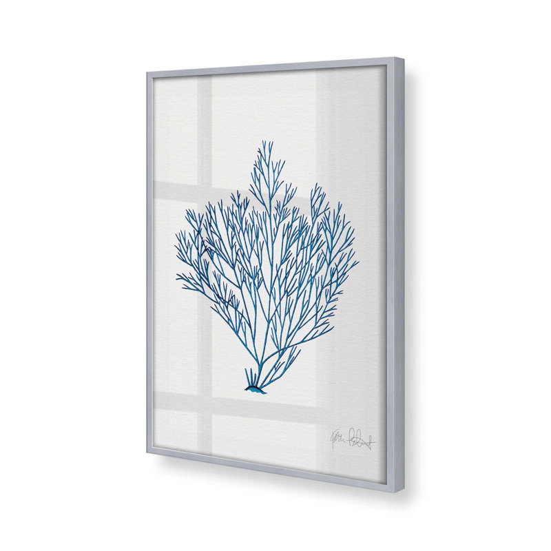 «Nature's Blueprint», Cadre en chrome poli, H 11,25 po x l 11,25 po