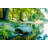 Lake by Michael Deemer - Wrapped Canvas Print-4205845