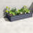Spacious Planters, Galvanized Steel 6x3x1 Ft Modern Raised Bed Yard
