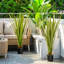 90 cm H Faux Agave Plant in Cement Freestanding  Planter