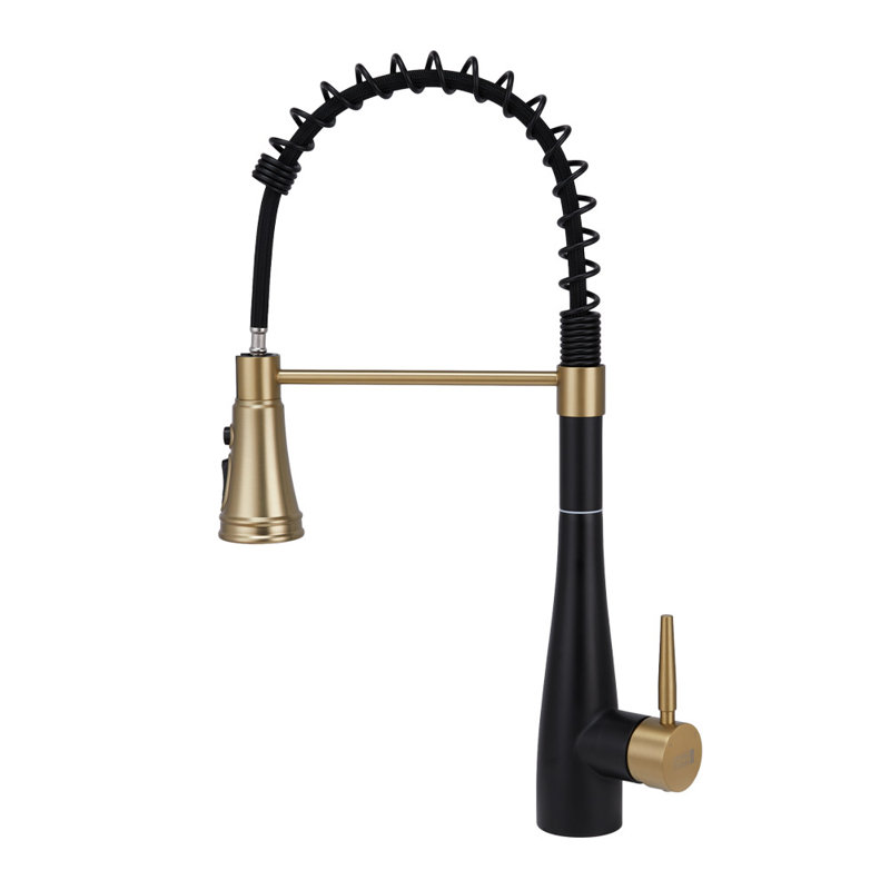 Belfry Kitchen Pull Out Kitchen Faucet, Black/Gold