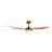 Ahriya 5 - Blade LED Smart Standard Ceiling Fan with Remote Control and Light Kit Included-487785548-403971659