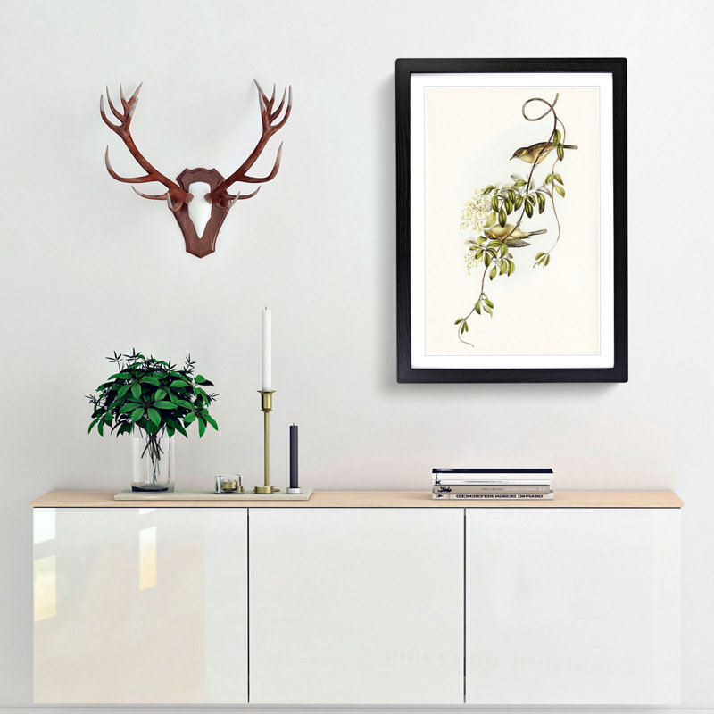 Fuscous Honeyeater Birds by Elizabeth Gould - Framed Print, 36cm H x 27cm W x 2cm D, Black Framed