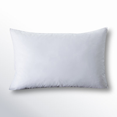 Plush Feather Pillow