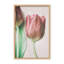 «Nature Inspired The Spring Lovers» par Delphine Devos - Œuvre d'art encadrée sur papier-81386867-131284562-131292477