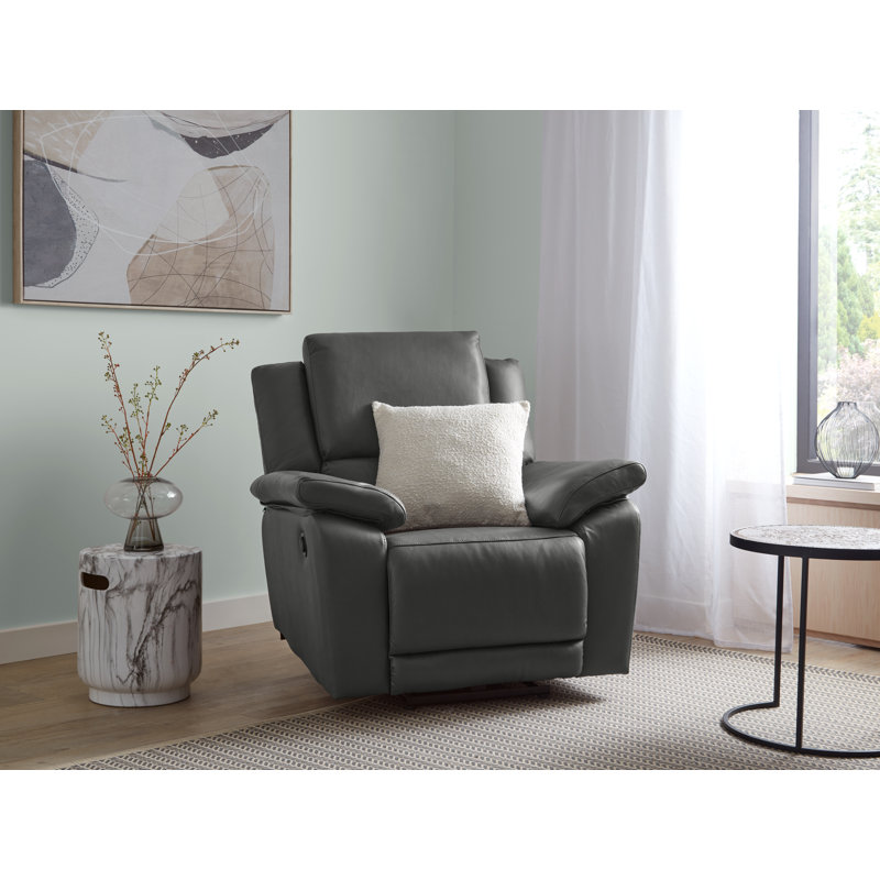 Fredel Standard Recliner