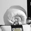 Hungarian Luxury Goose Feather & Down 13.5tog Duvet Downpass Certified - Hypoallergenic-14179529