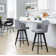 Capuano 26" Fixed-Height Counter Stool With Round Footrest - Set Of 2