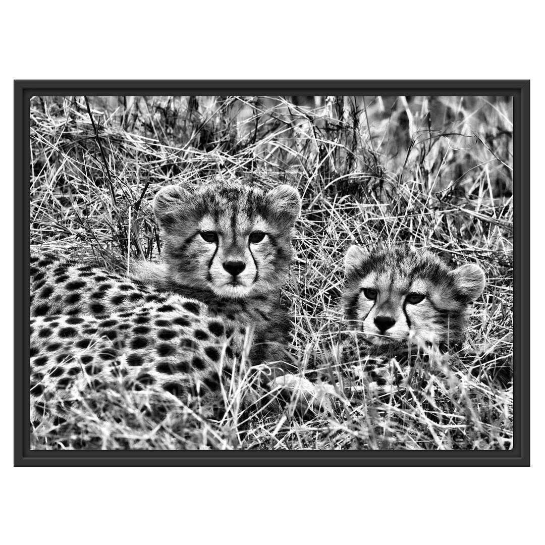 Gerahmter Fotodruck Cute Leopard Cubs