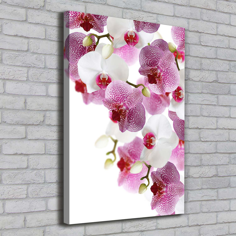 Orchid - Wrapped Canvas Print
