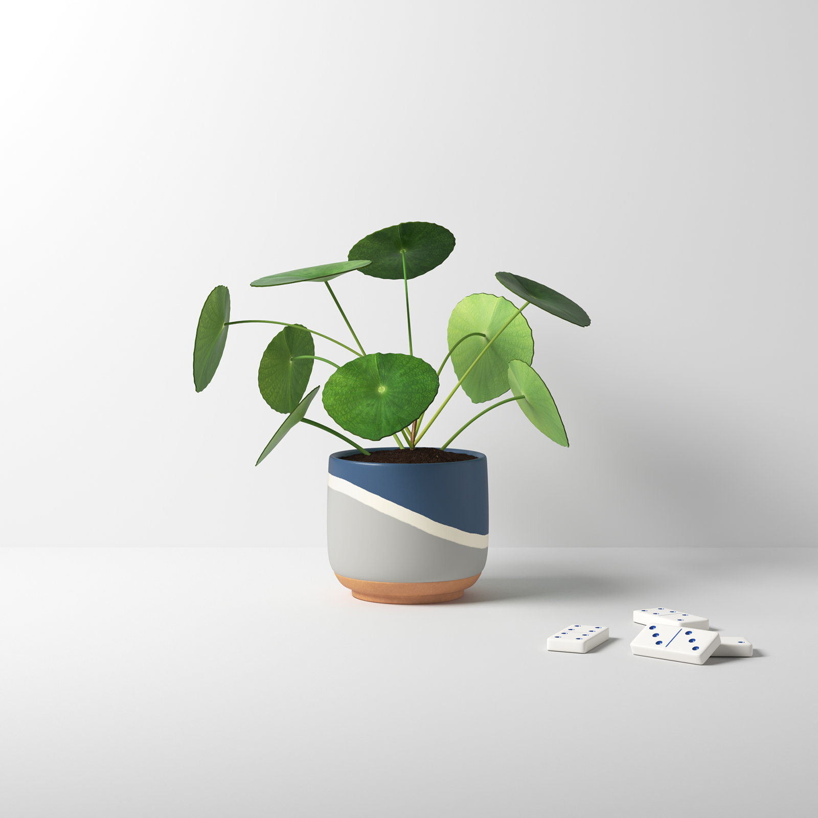 Tami 4" Ceramic Planter