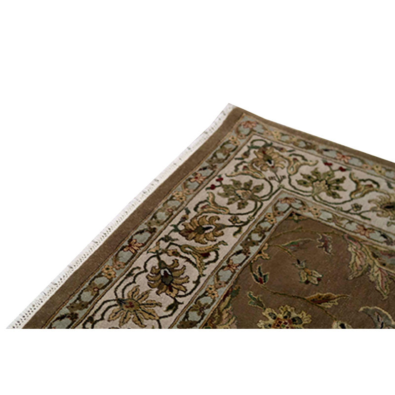 Dharma Oriental Area Rug in Brown