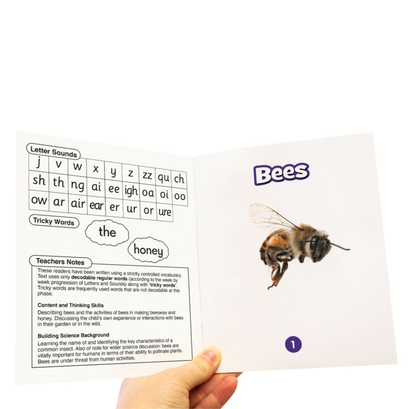 Ensemble d'apprentissage de science et de science décodable phase 3