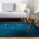 Indoor Rug