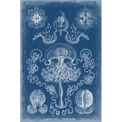 Marine Blueprint IV - Wrapped Canvas Print
