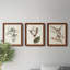 Pl. 160 Carolina Titmouse - Ensemble de 3 peintures sur toile encadrées-476429138-476429099