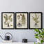 Fern Botanical IV - Ensemble de 3 peintures sur toile encadrées-131489271-131489276