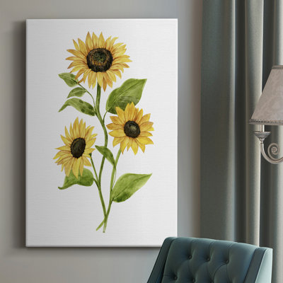 Sunflower Trio II - Wrapped Canvas Print