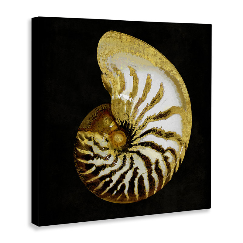 Art mural en spirale à motif de coquillages par Caroline Kelly, H 30 po x l 30 po