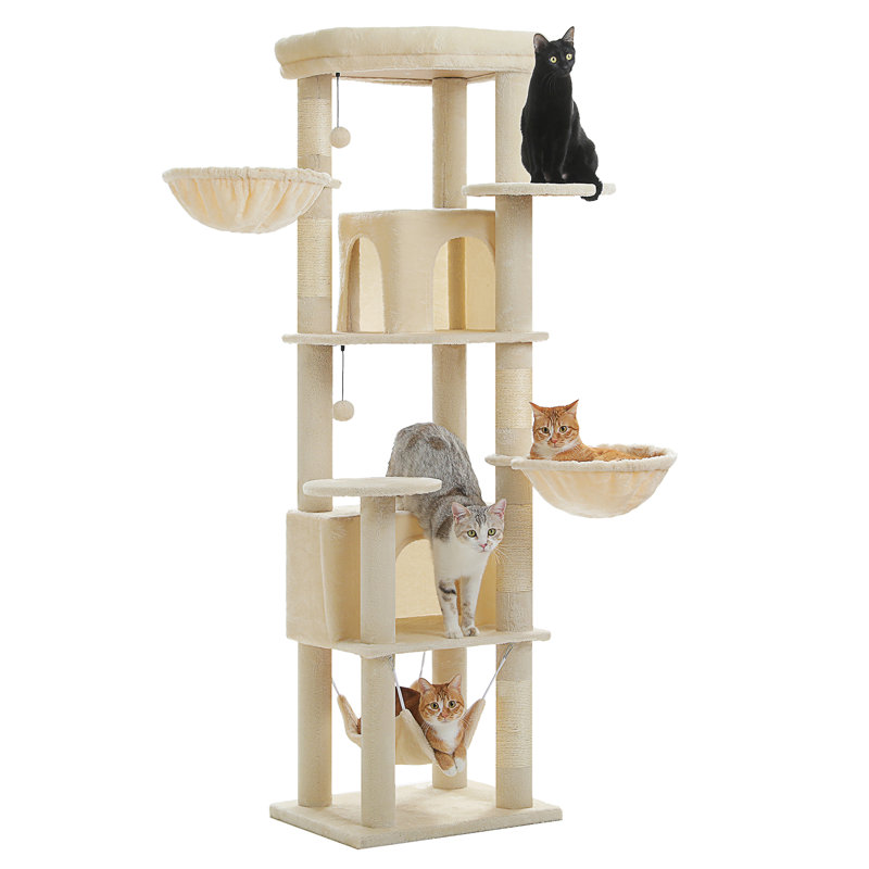 Arbre à chat, Beige